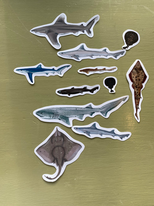 Misc Shark stickers