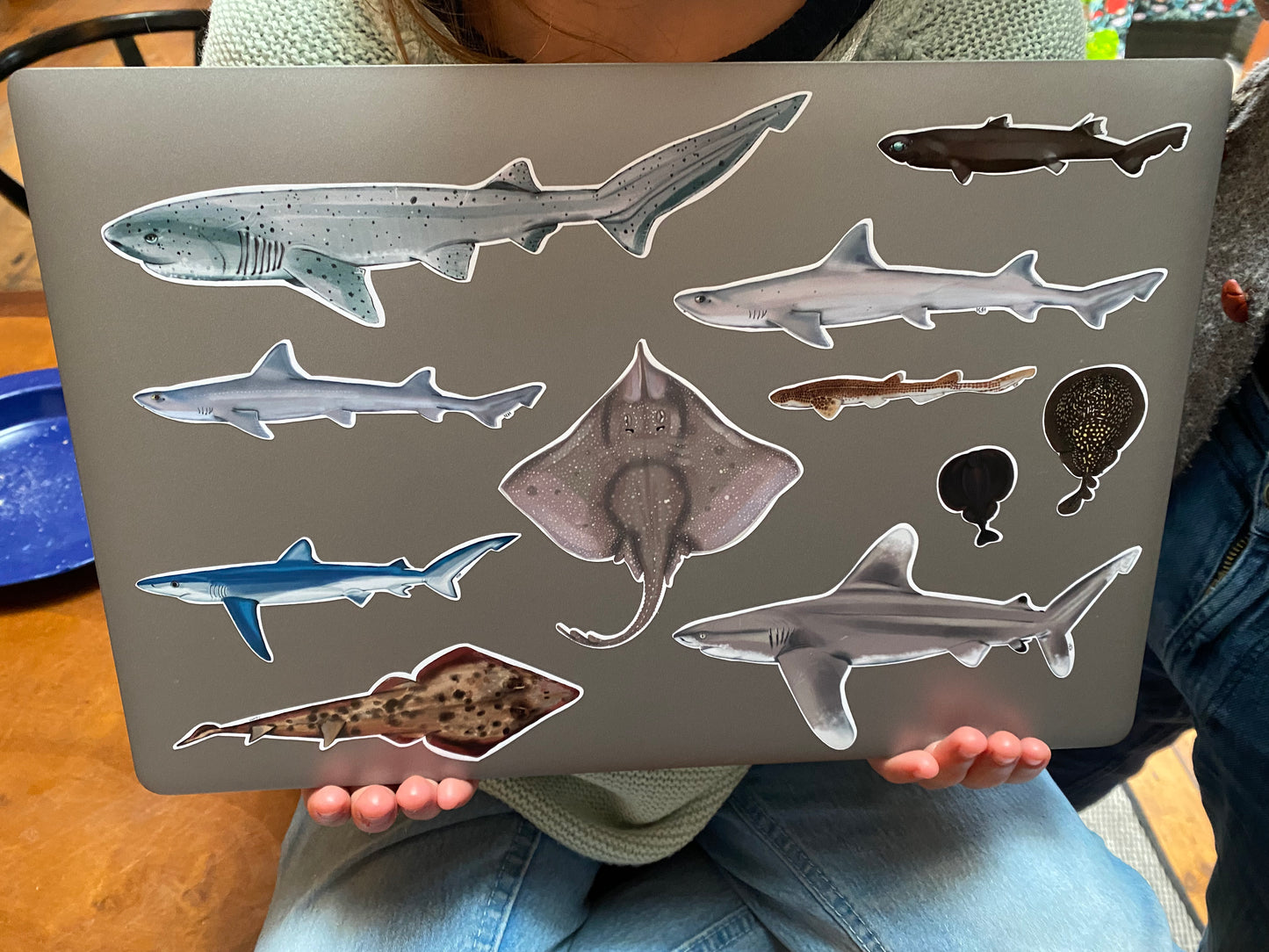 Misc Shark stickers